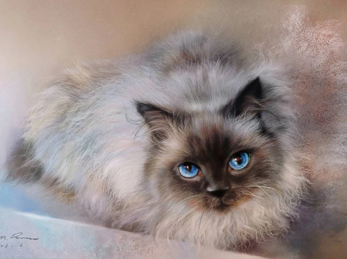 Pet Cat by by Yuli Chang