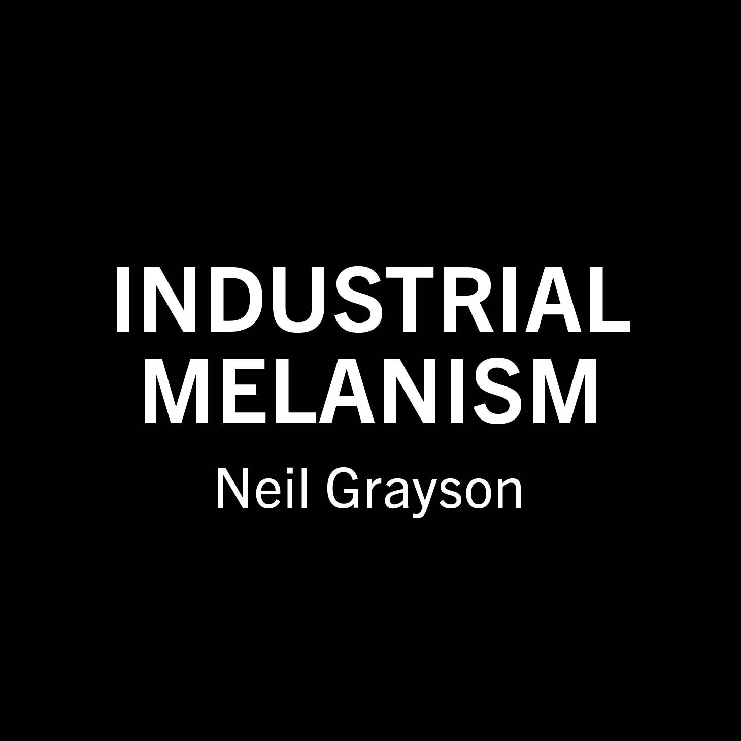 icy-tools-industrial-melanism-by-neil-grayson-nft