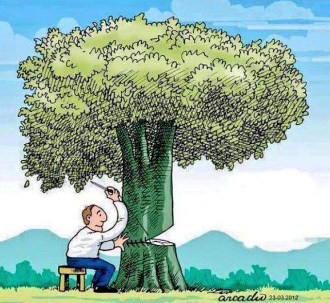 Save trees save environment 🙏 - Save Trees Save Earth | OpenSea
