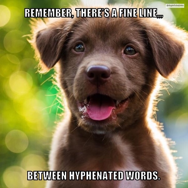 768. Words - Dog Tells Dad Jokes Memes | OpenSea