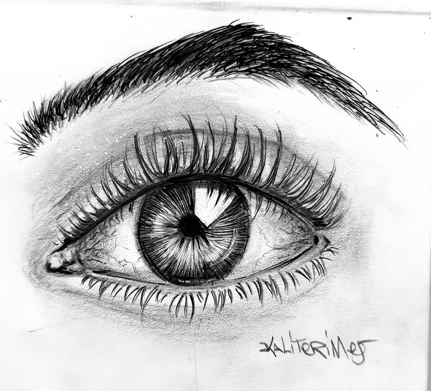 Draw a Realistic Eye With Only a Pen  6 Steps  Instructables