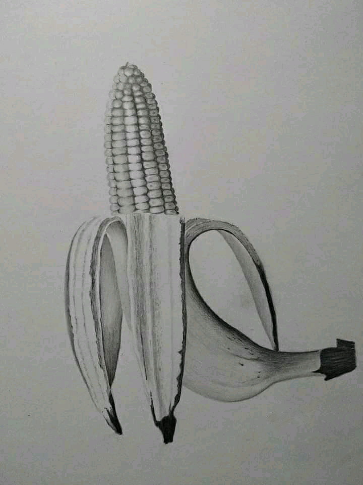 A Banana drawn with pencil. Feedback welcome. : r/drawing