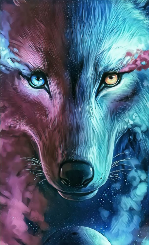 Lone Wolf Anime Wallpapers - Top Free Lone Wolf Anime Backgrounds -  WallpaperAccess