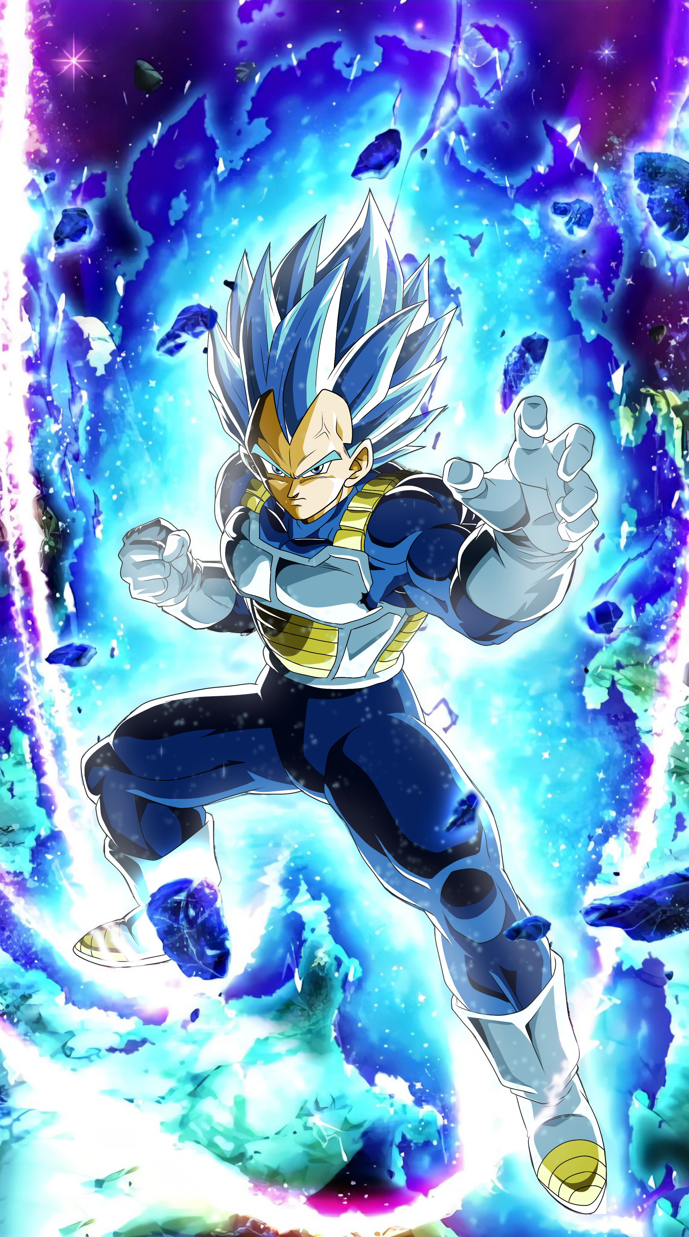 Vegeta Super Saiyan Blue Evolution Poster | Exclusive Art | Dragon Ball |  NEW