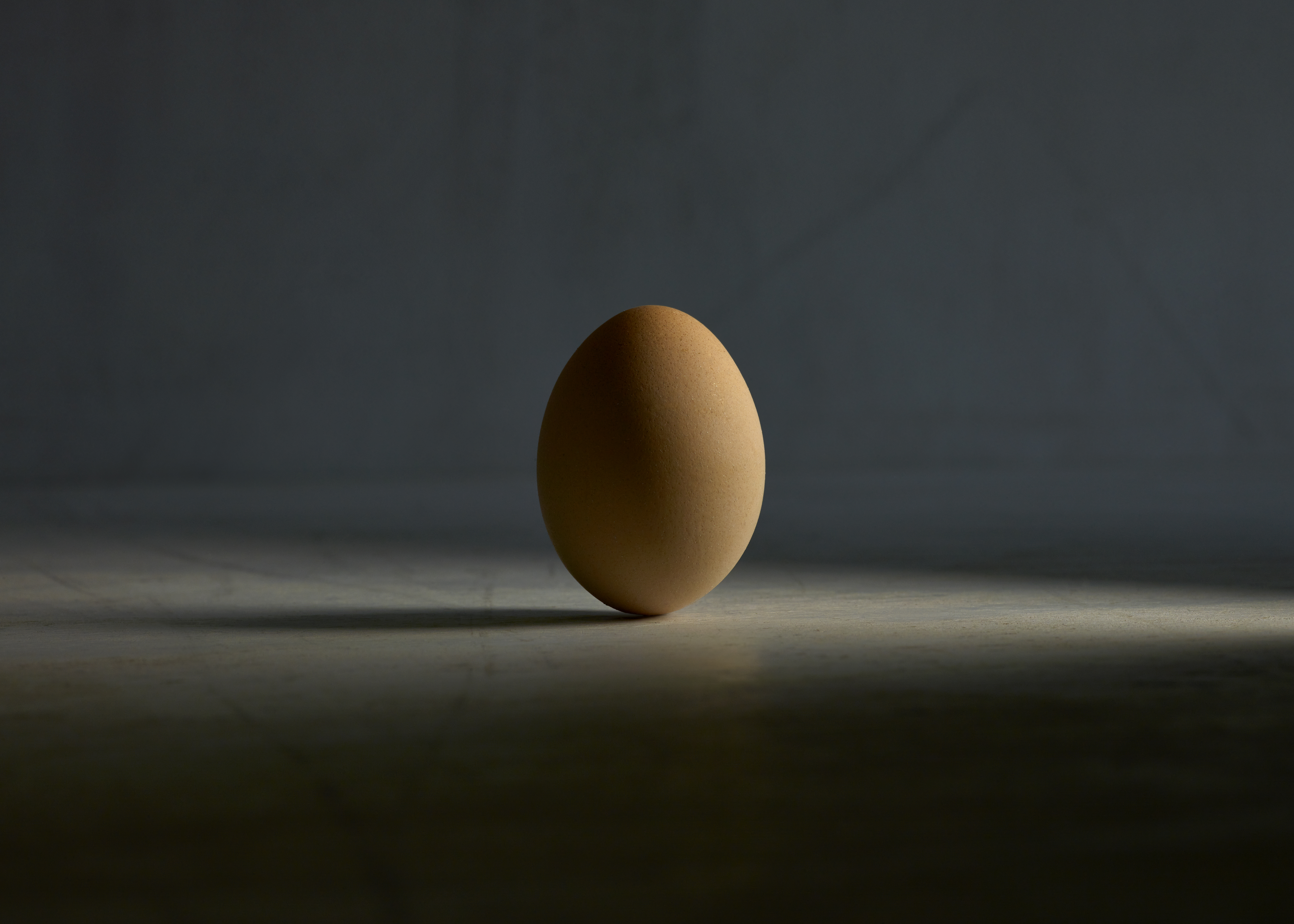 The Egg 222