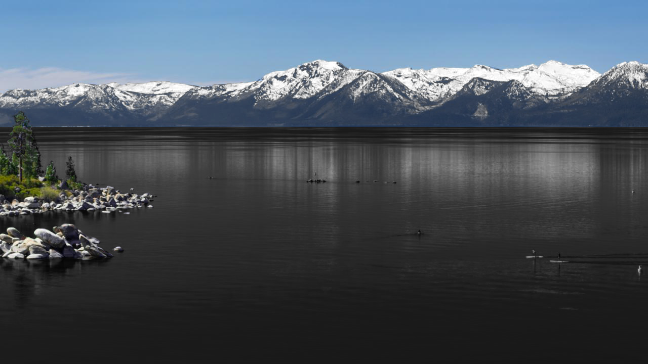 Familiar Catalog Collection OpenSea