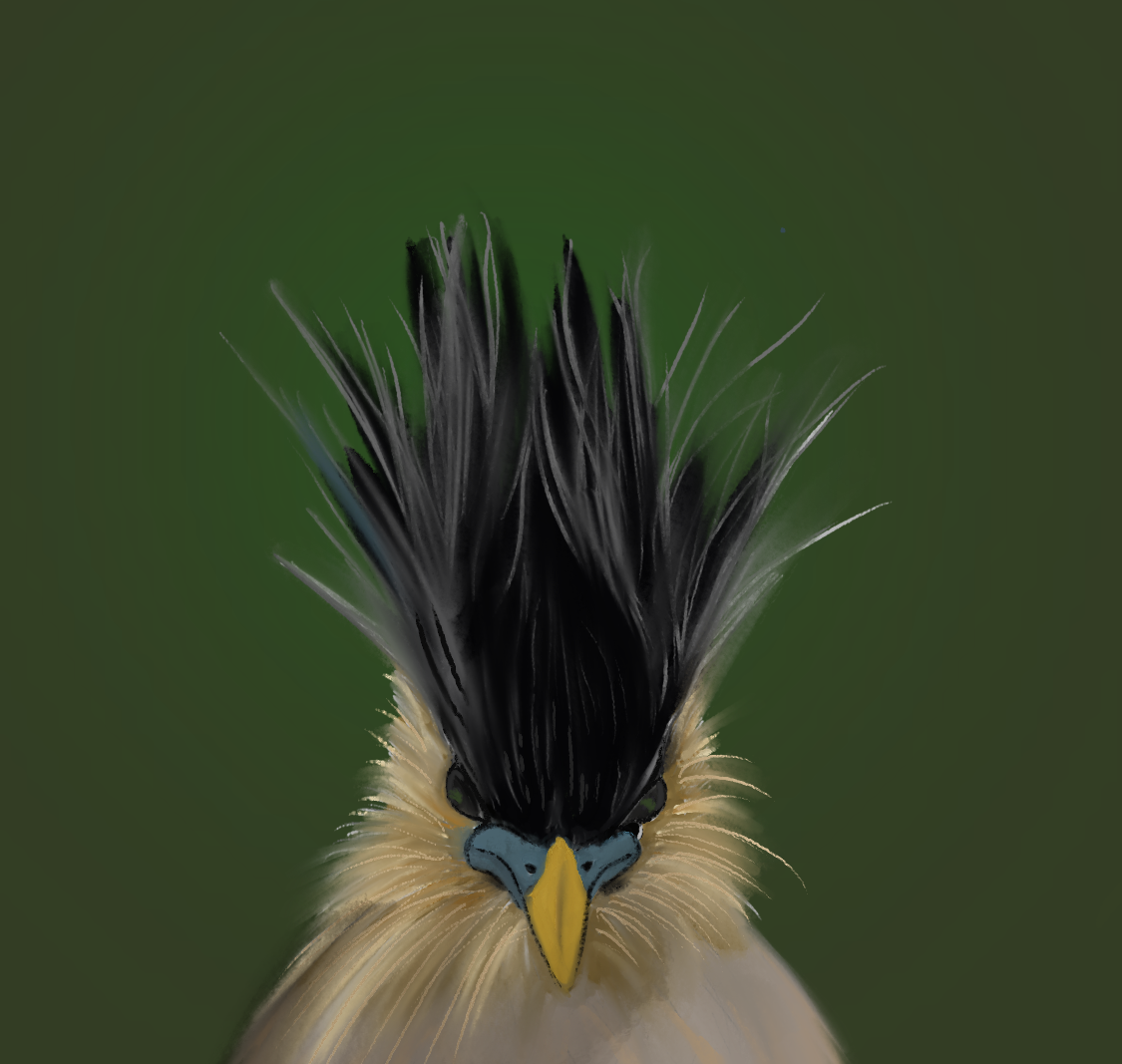Bird with Mohawk - Birds by bloria | OpenSea