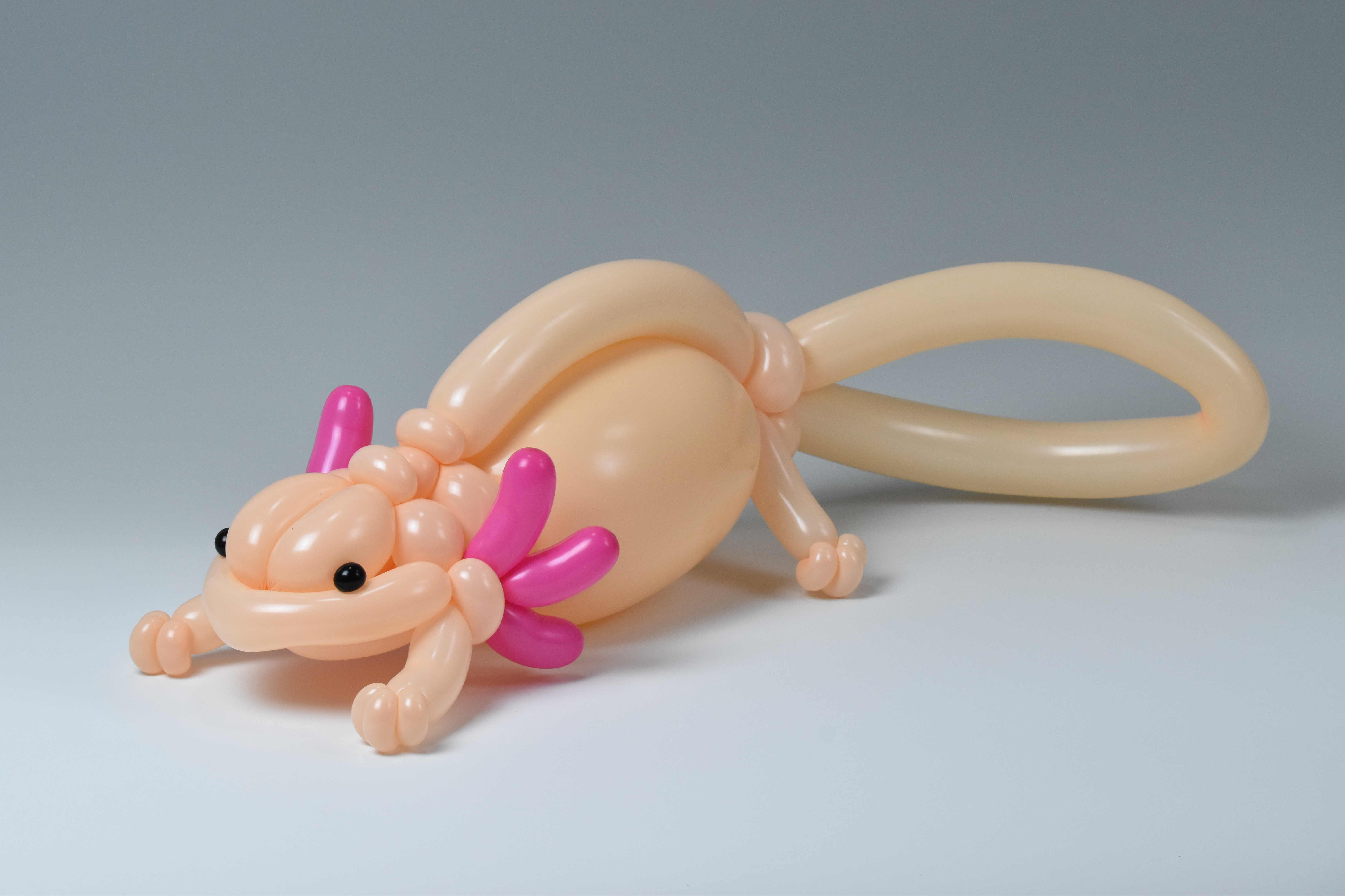 Axolotl - isopresso-balloon-animals | OpenSea