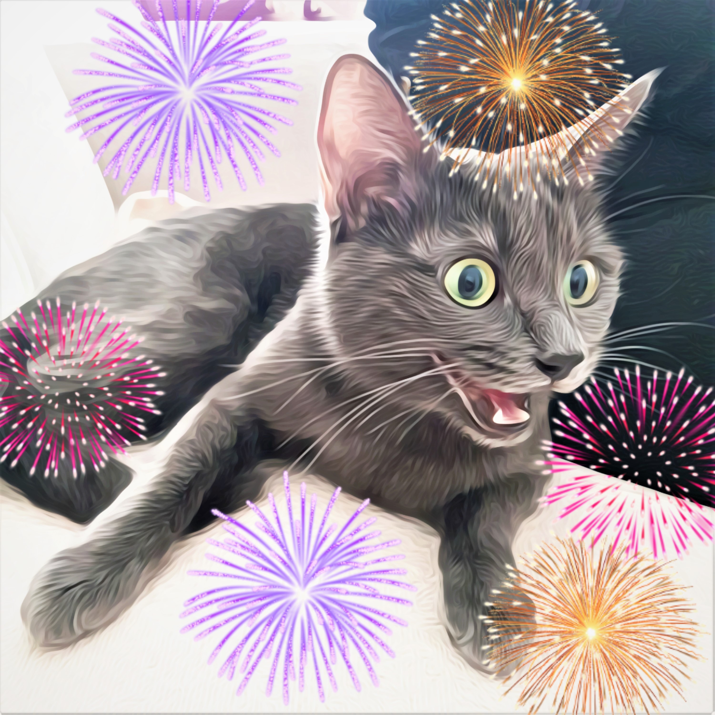 My Dream Cat Collection OpenSea