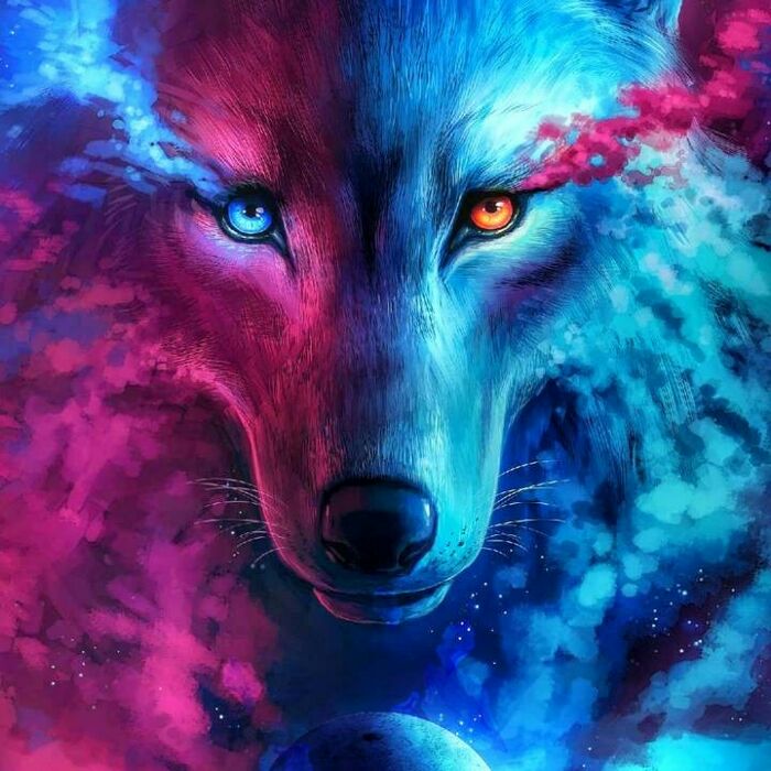 Anime Galaxy Wolf with Wings Poster Paintings on Canvas Modern Art  Decorative Wall Pictures Home Decoration Framed12x18 inch   Amazoncouk Home  Kitchen