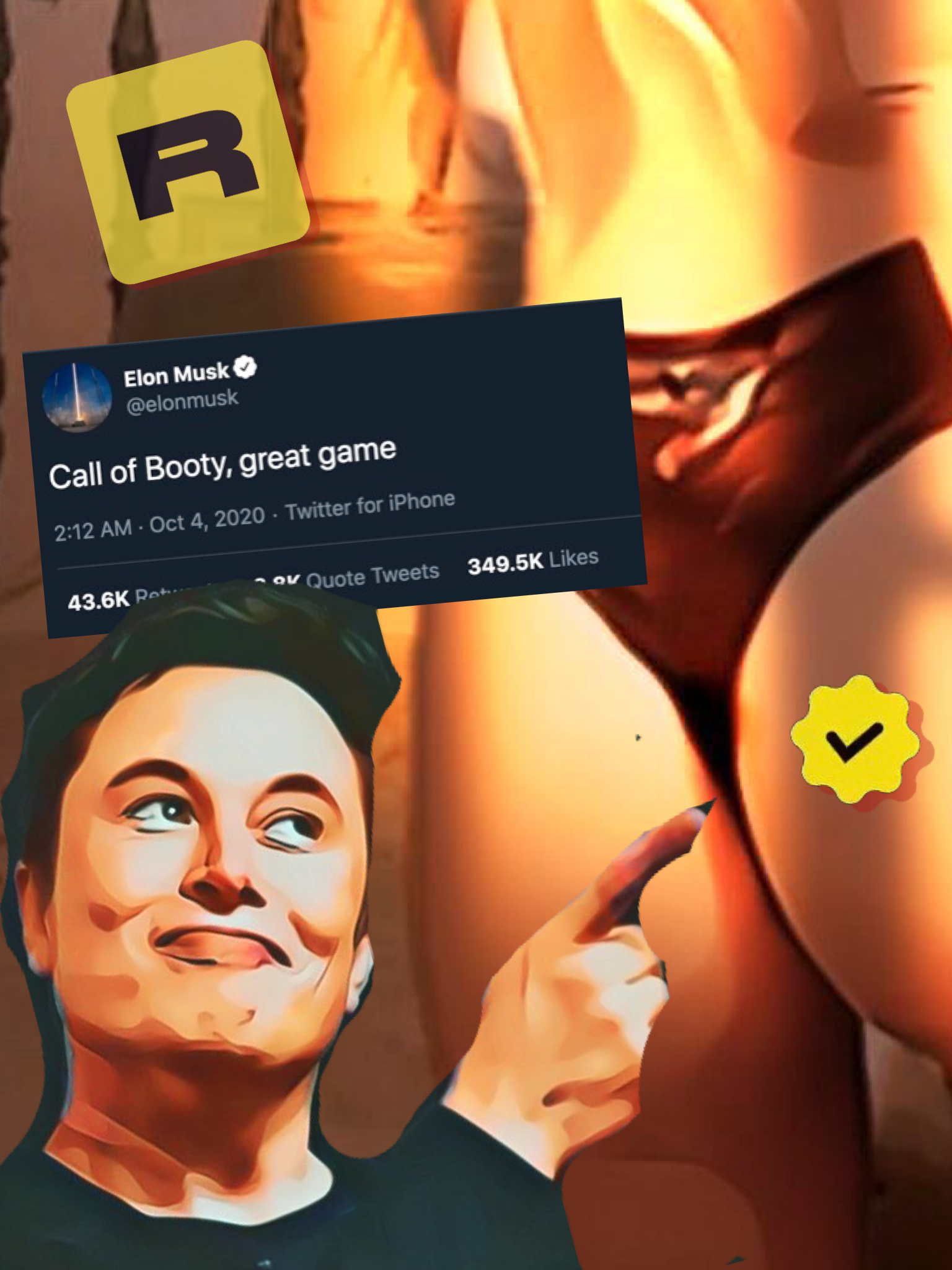 Call of Booty - the Elon verified game