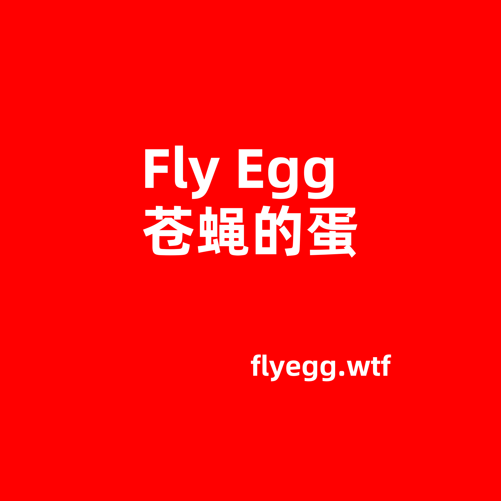 Fly Egg