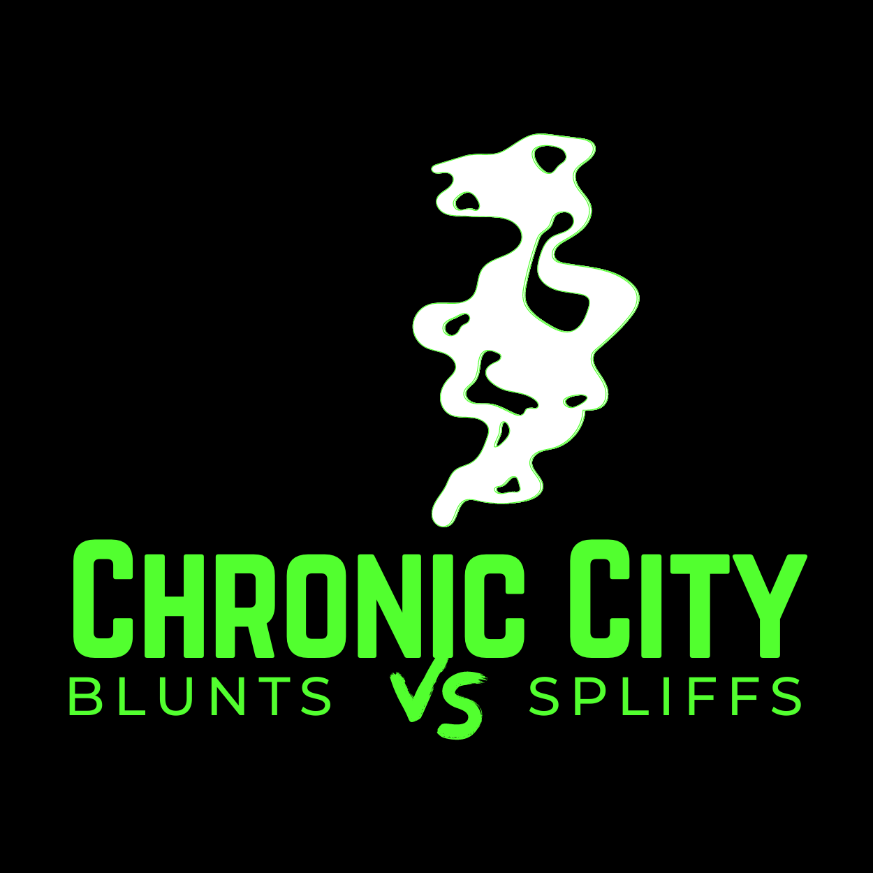 Image for Chronic City
