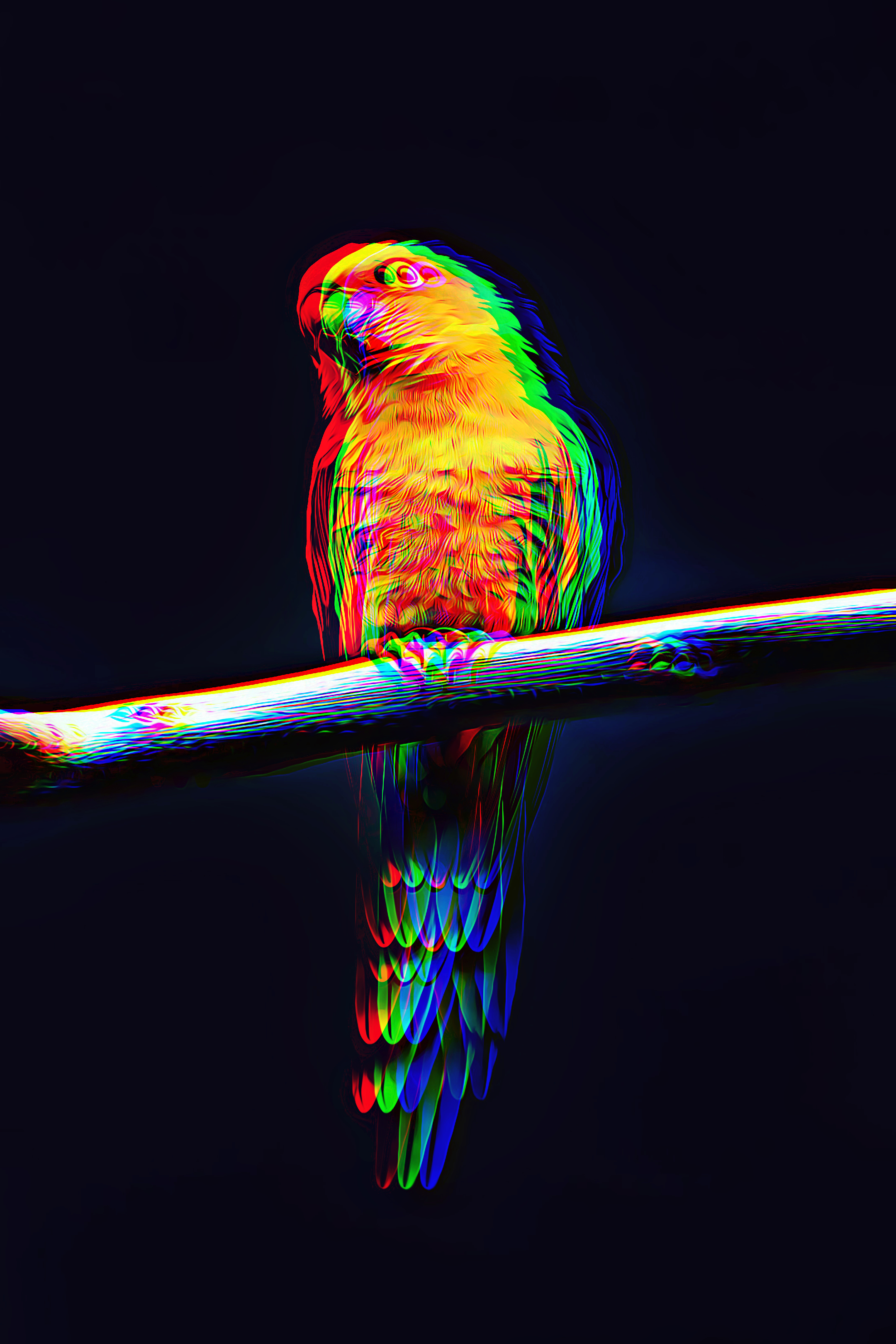 Birds' dazzling iridescence tied to nanoscale tweak of feather
