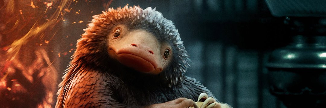 crypto niffler