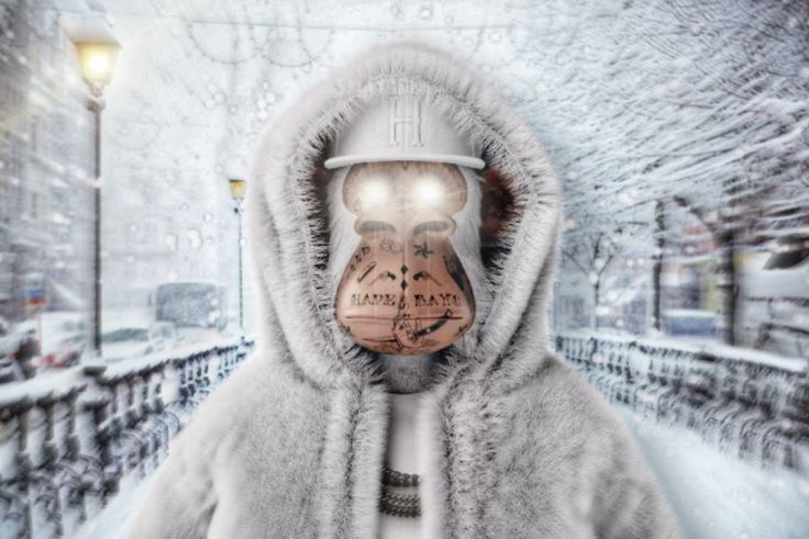 736px x 491px - Winter Ape #Gif#Nft#Ape#Crypto - Nft Animation collectionn | OpenSea