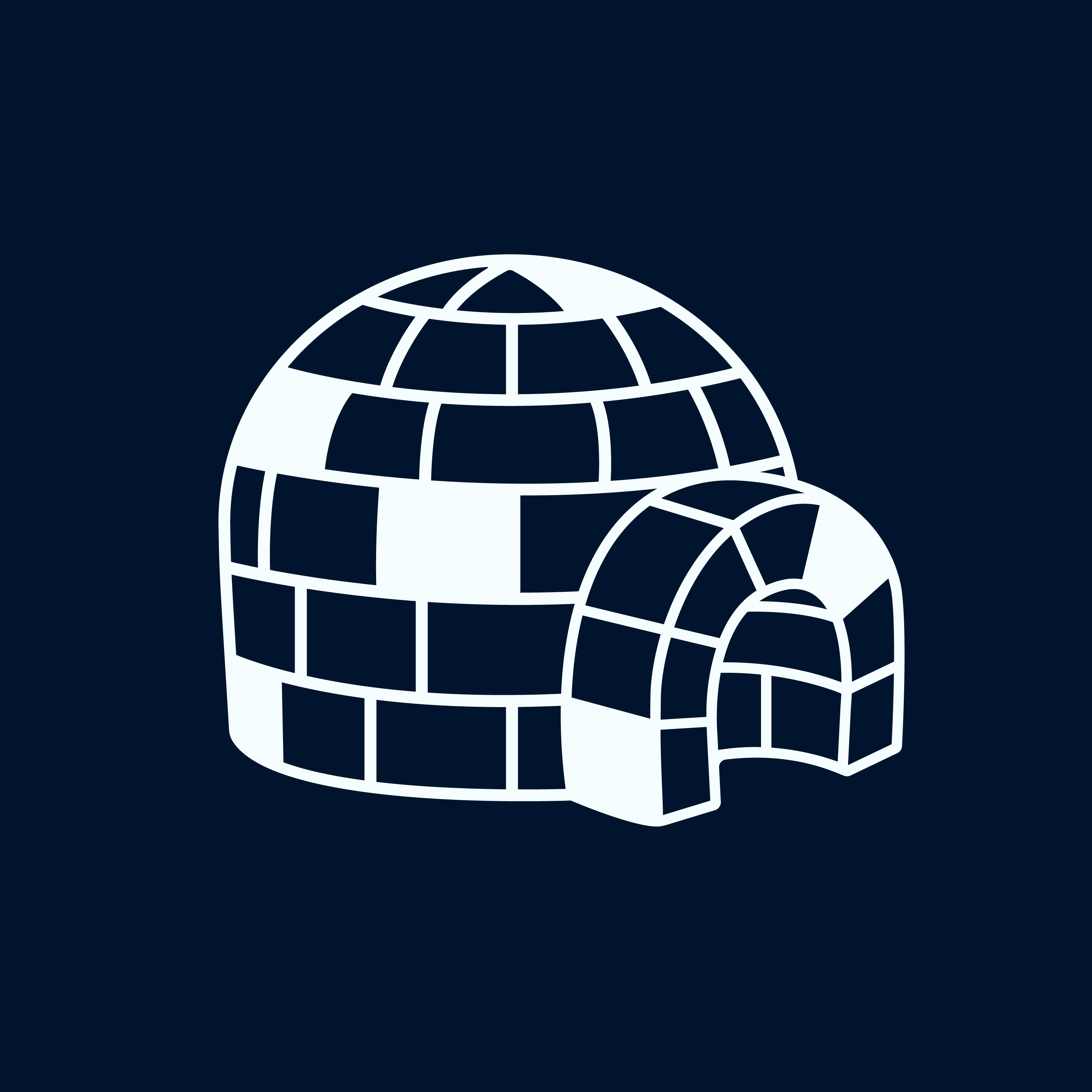 The Igloo Company Collection OpenSea