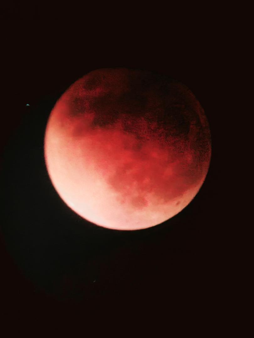 Super Flower Blood Moon X Secret 1st Wife May 14 22 Toneberry Moons Opensea