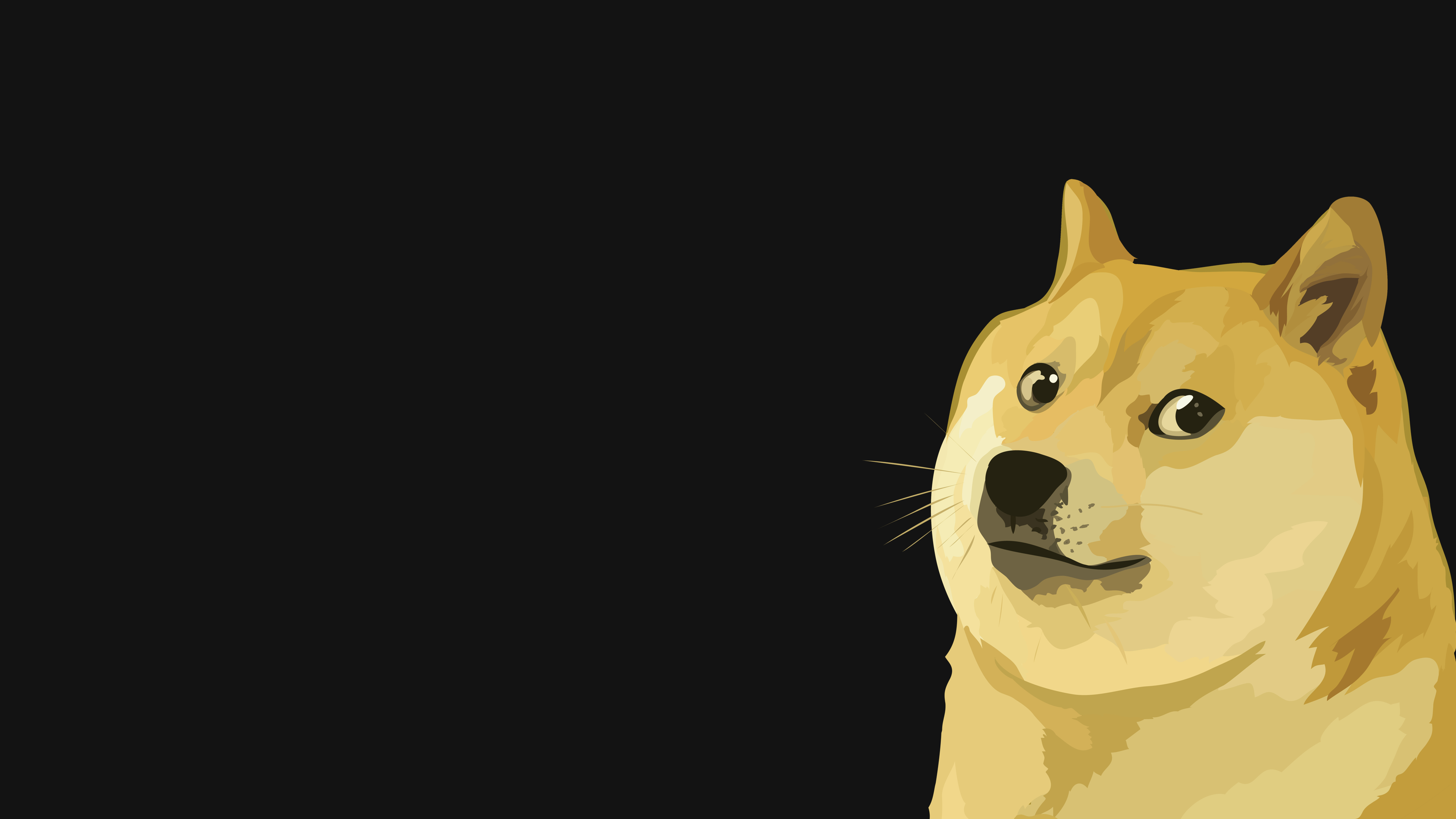 Doge Grok on X: 🌅 As the Chinese community wakes up, $dogegrok