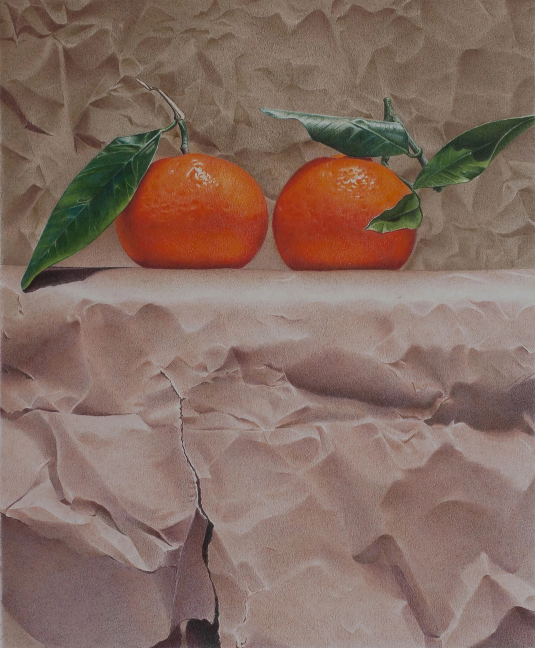 Mandarins and Paper by Paco Martin