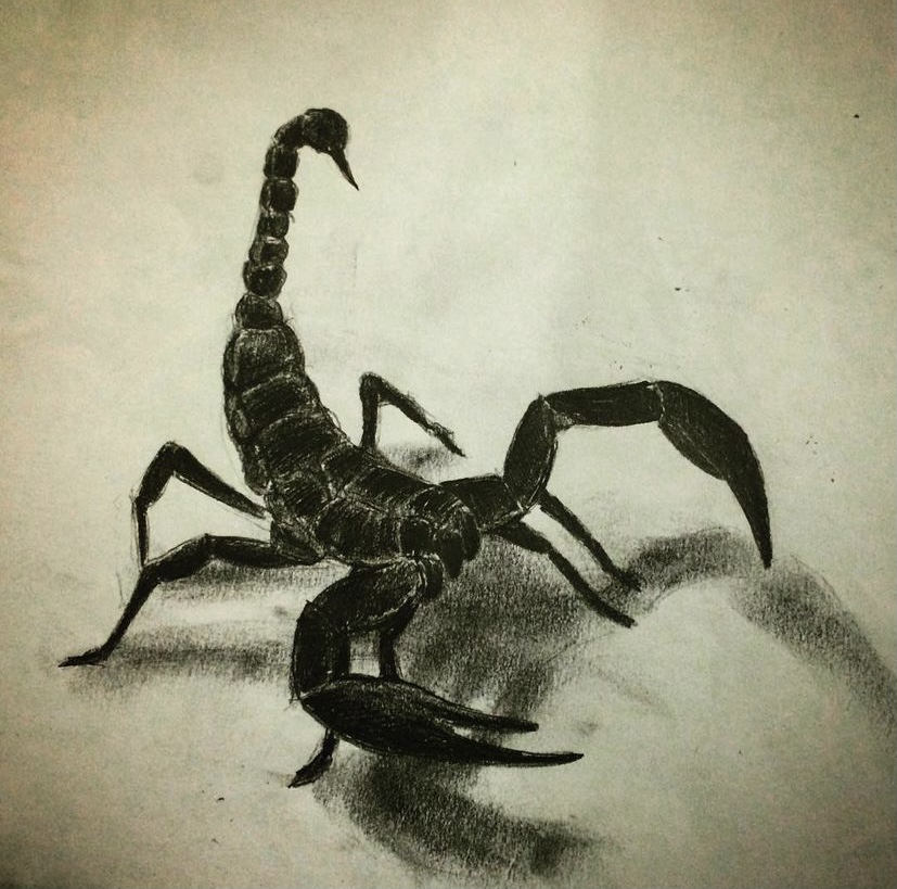 Scorpion. Animals. Drawings. Pictures. Drawings ideas for kids. Easy and  simple.