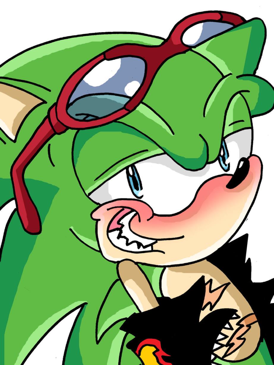 Scourge the Hedgehog picture