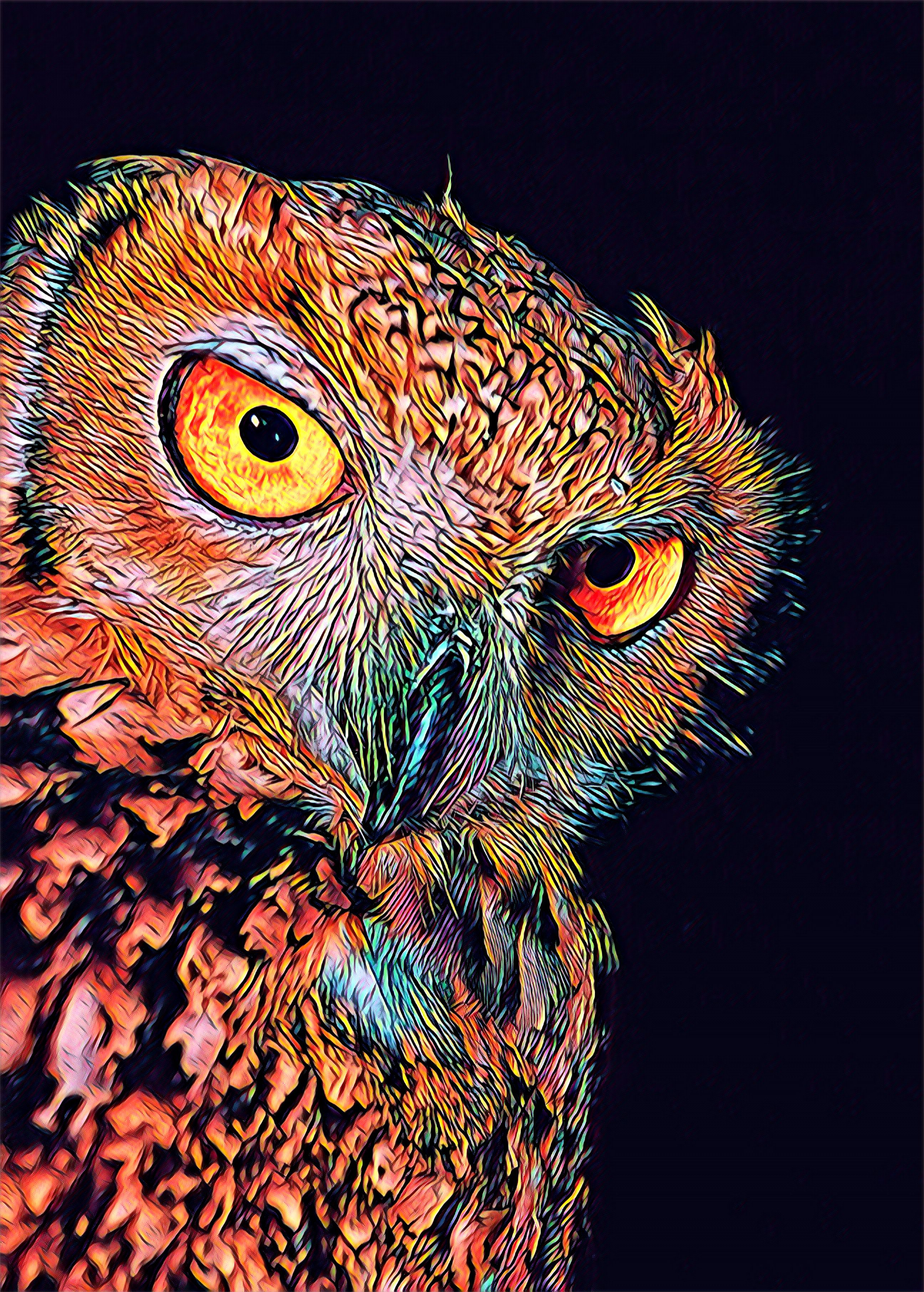 Owl - BoxGallery | OpenSea