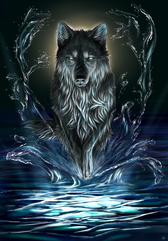 How To Draw A Wolf Spirit Step by Step Drawing Guide by Dawn  DragoArt