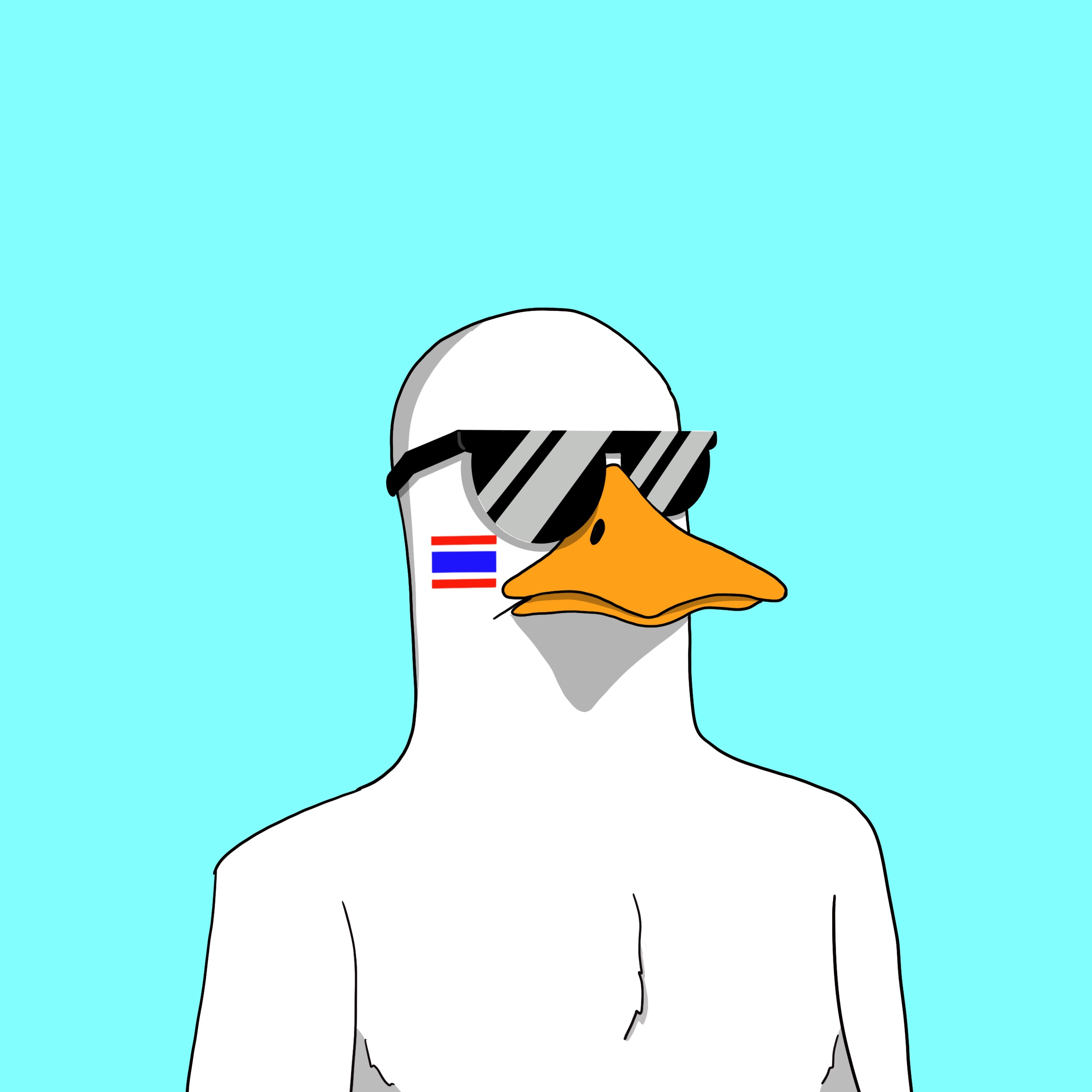 DuckSD Collection OpenSea