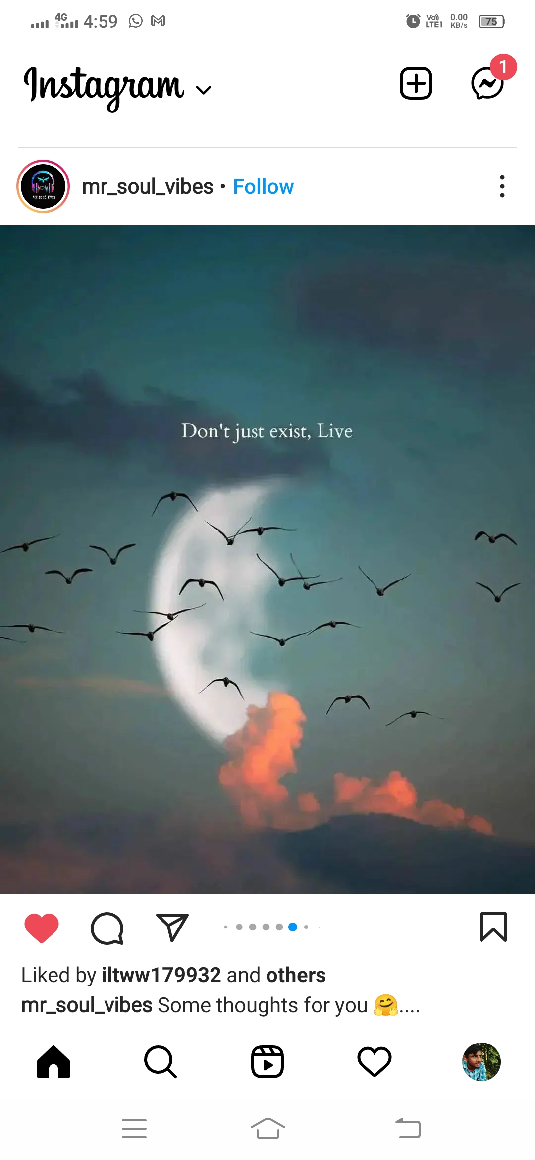 dont just exist just live - Collection | OpenSea