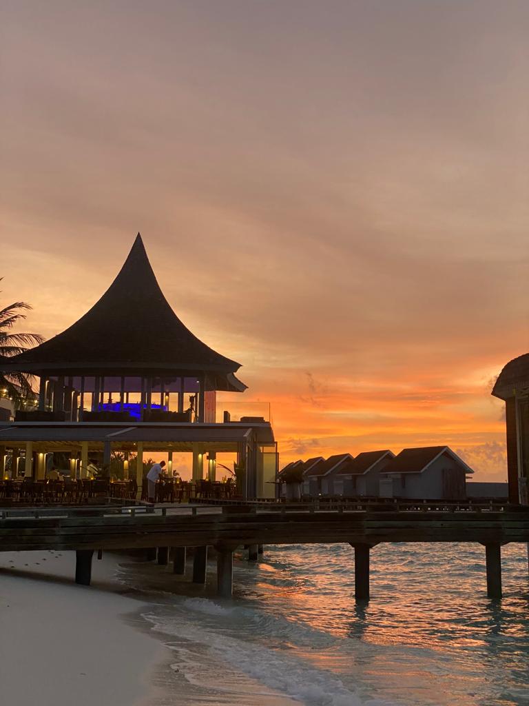 Leo123 - Collection | OpenSea