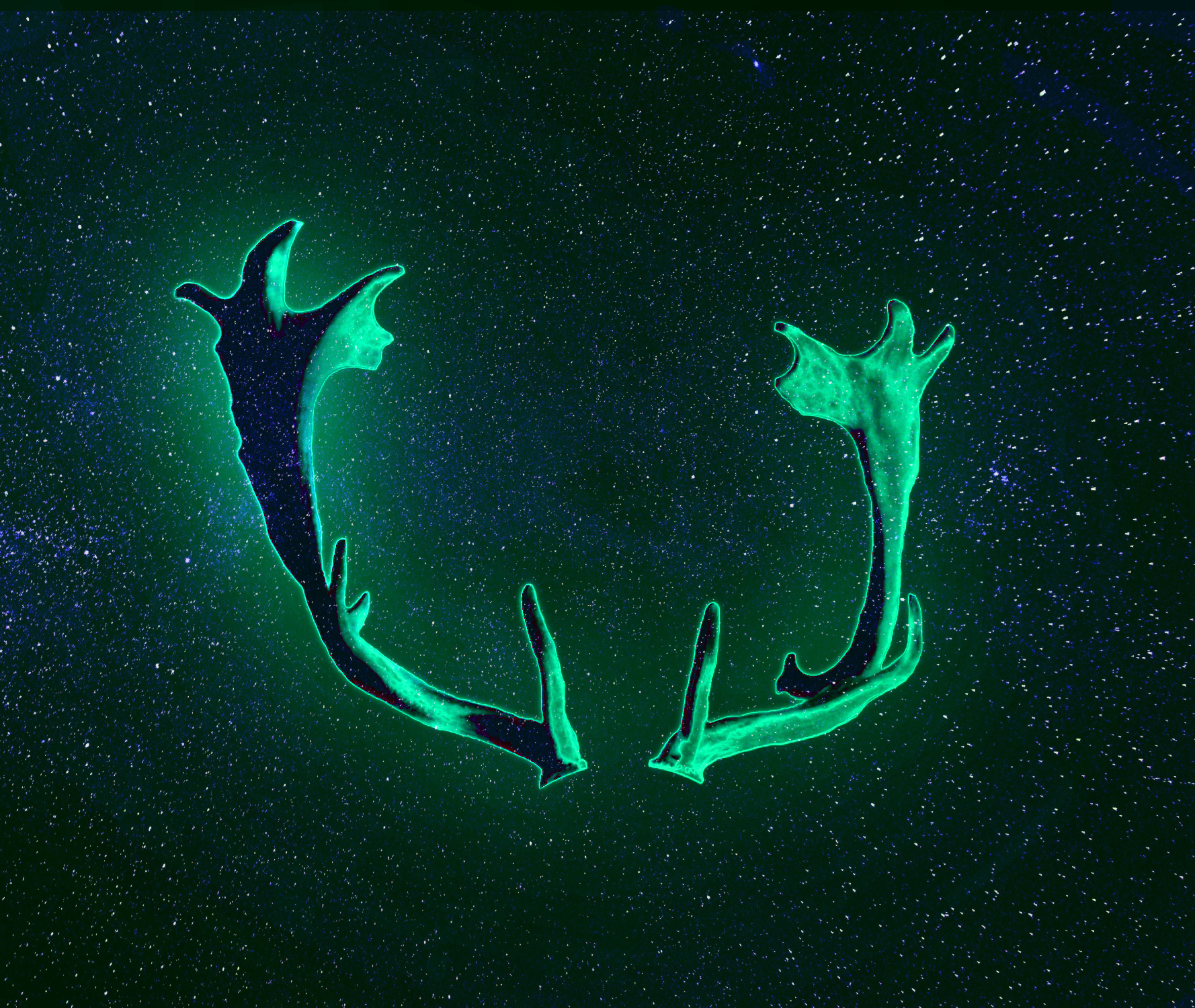 Shinning Sea Green Horn Antler Glowing Horn - Nftallinone | OpenSea