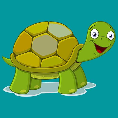 TURTLE Miracle - Collection | OpenSea