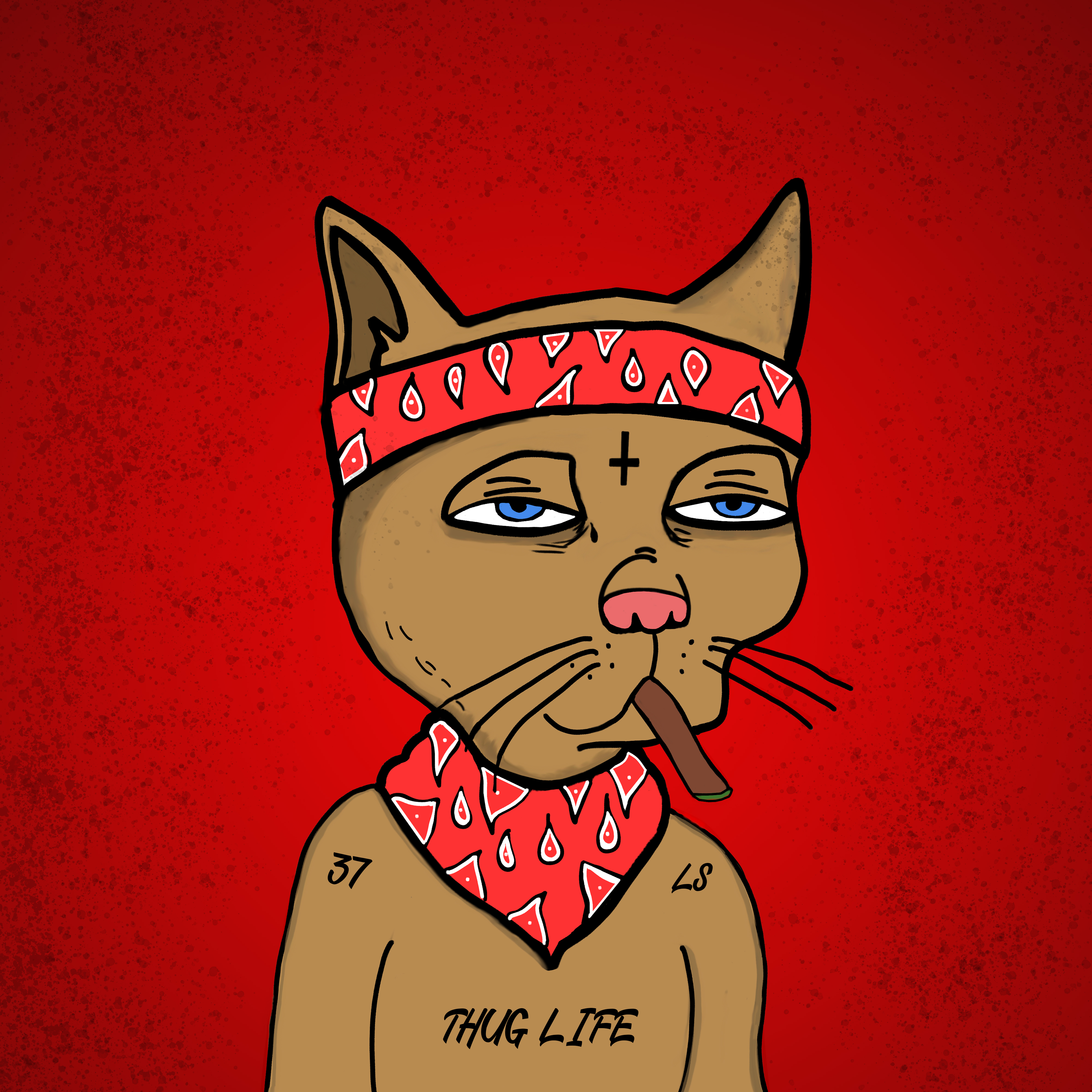 citizen band pop punk cat