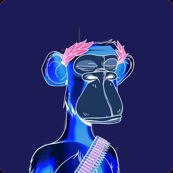 Monkey 3d - Mint Space NFT Marketplace - Buy and Sell Primates and Lonely  Pop NFTs