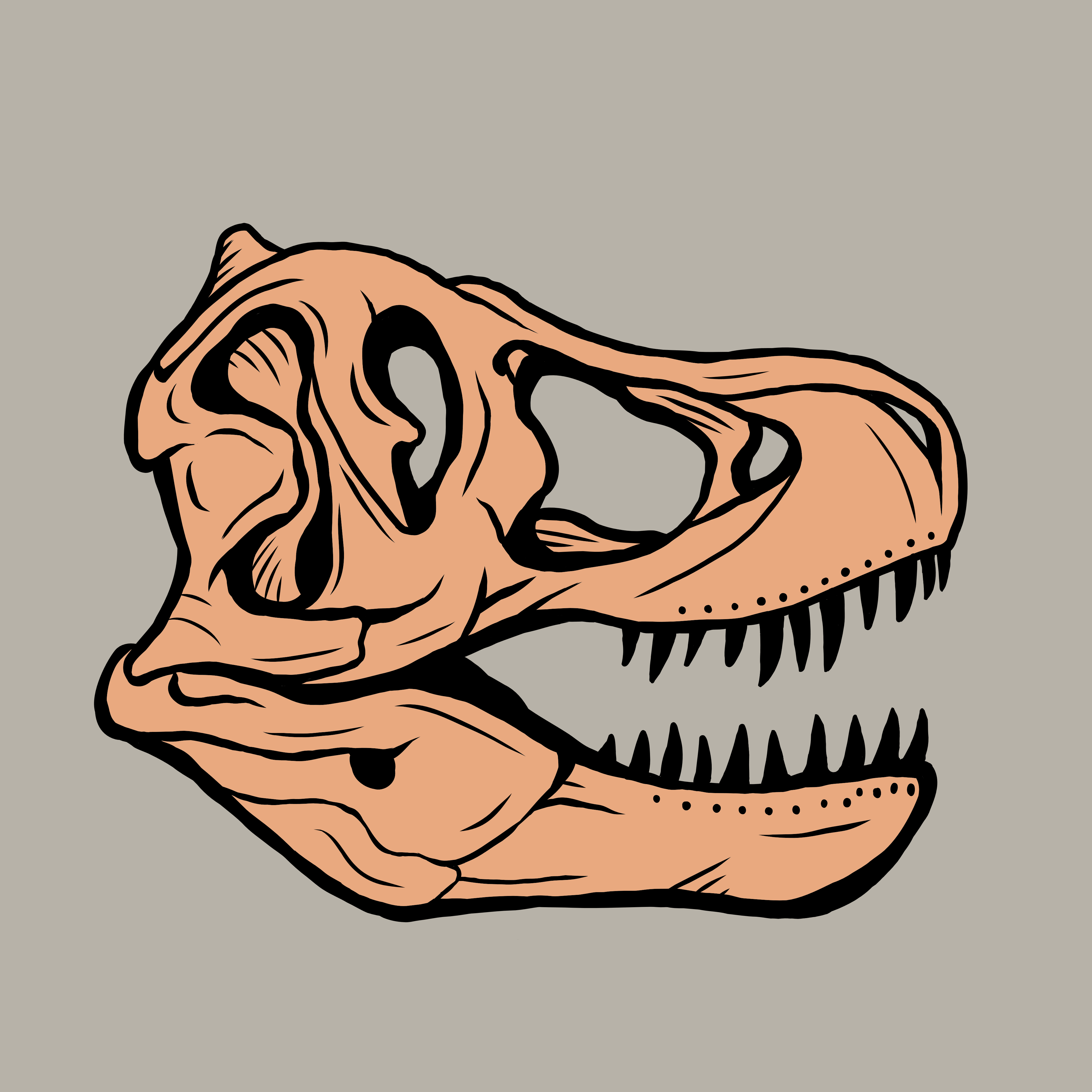 Tyrannosaurus Rex Skull Drawing by Mark Flinn  Pixels