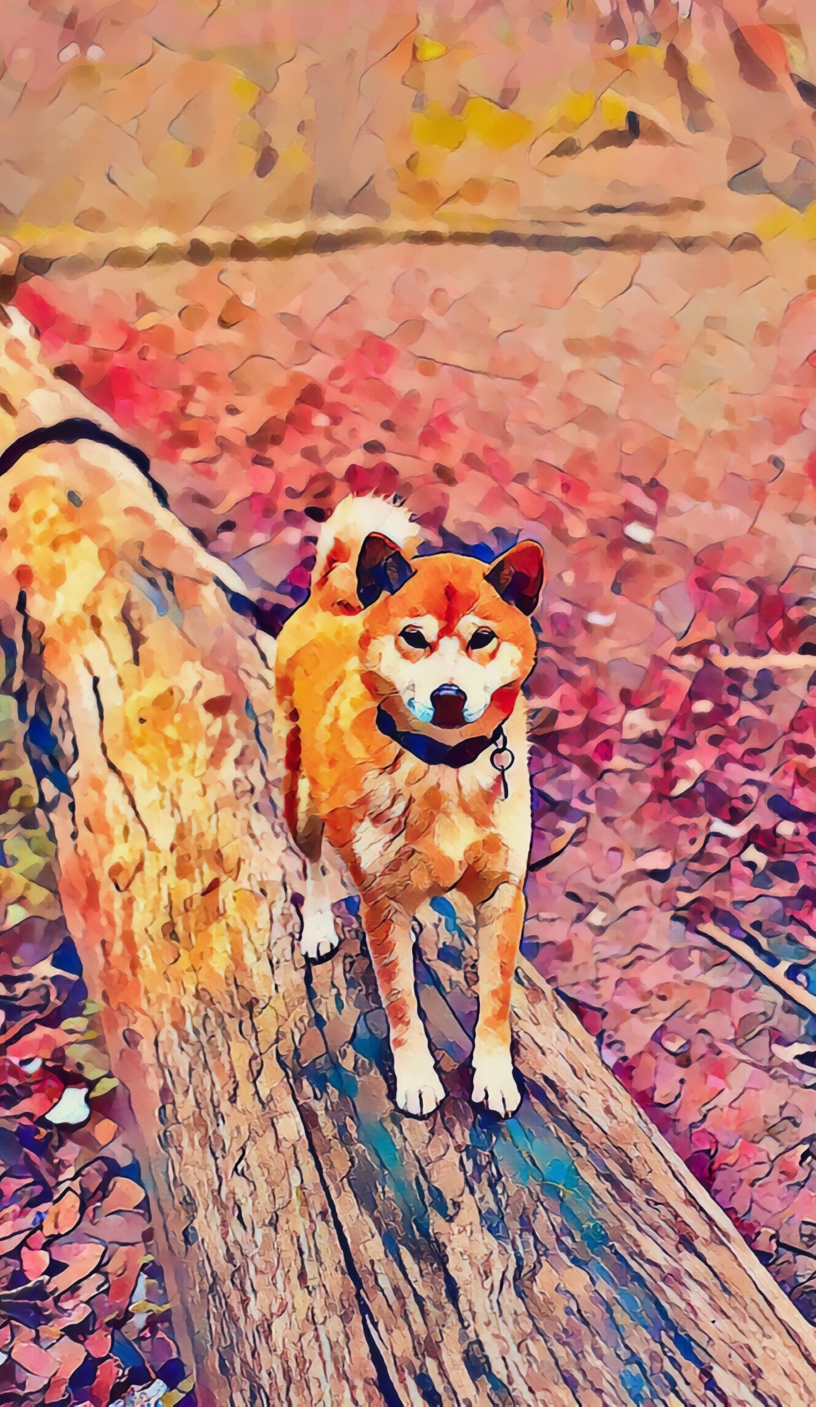 Kawaii Shiba - Kissed By Creativity | OpenSea