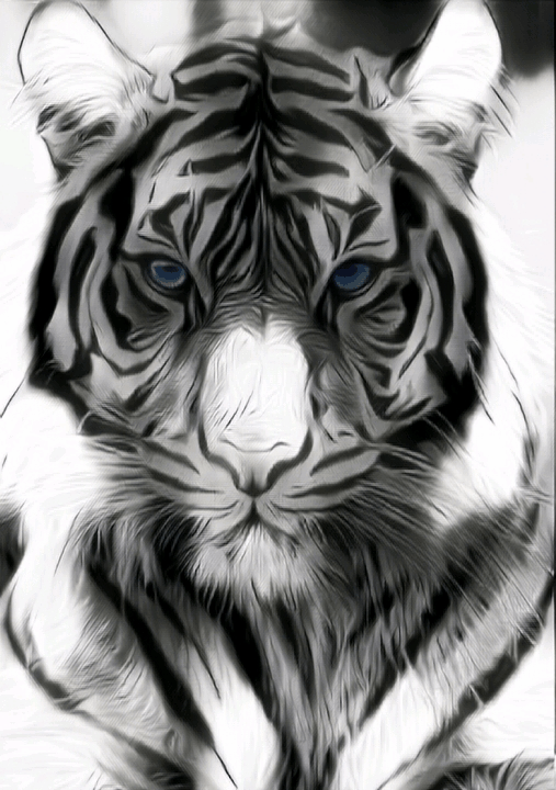 white tiger eyes gif