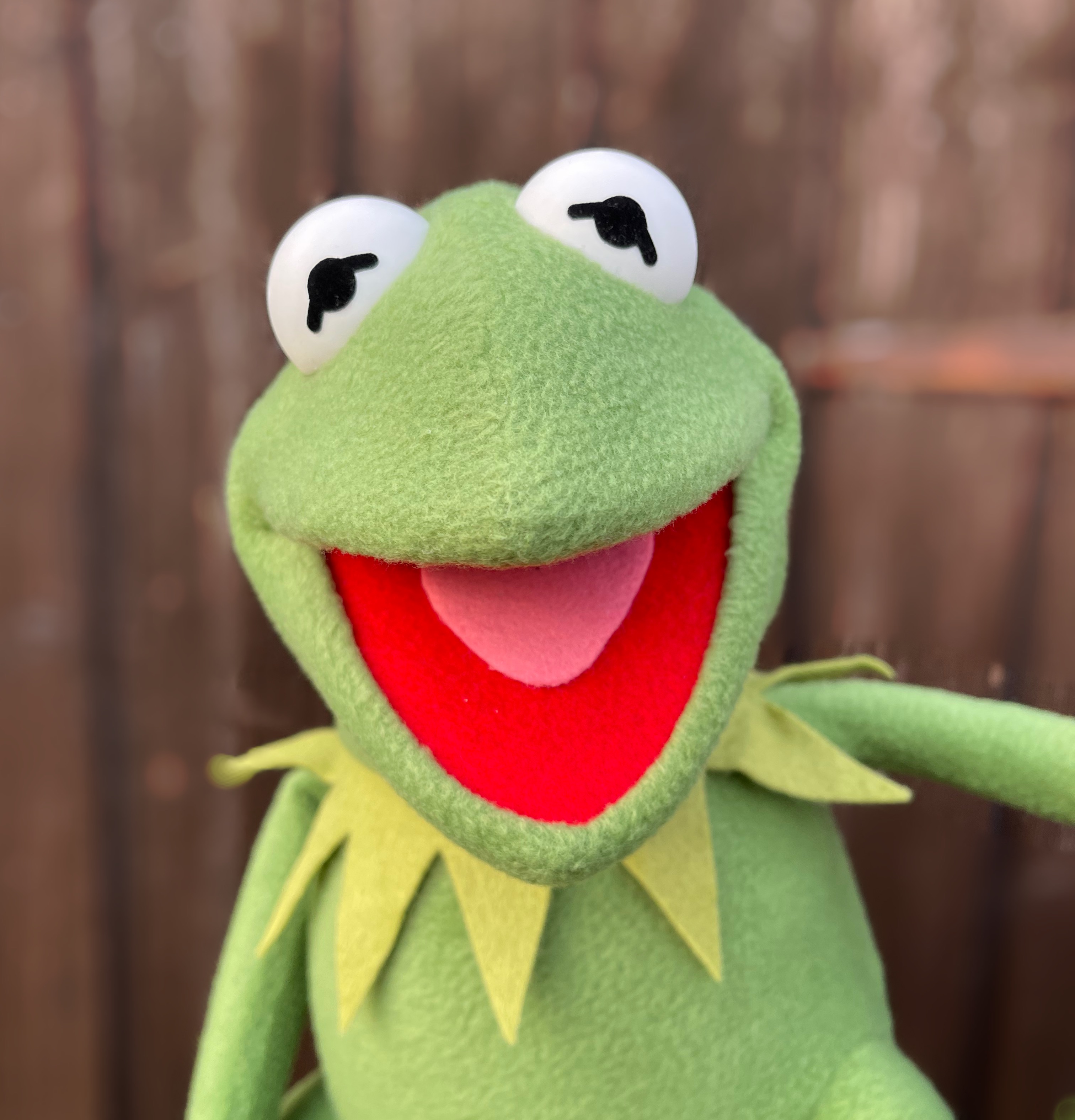 Digital Kermit the Frog - Collection | OpenSea