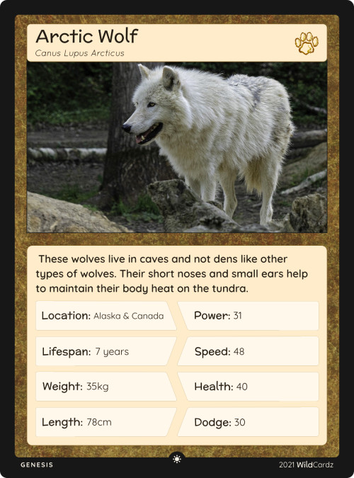 Arctic Wolf - WildCardz | OpenSea