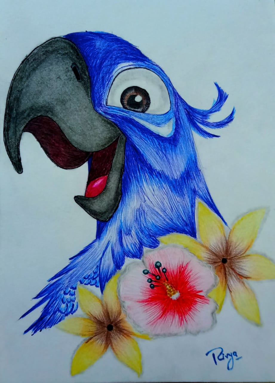 try to draw a doodle art on parrot. | PeakD