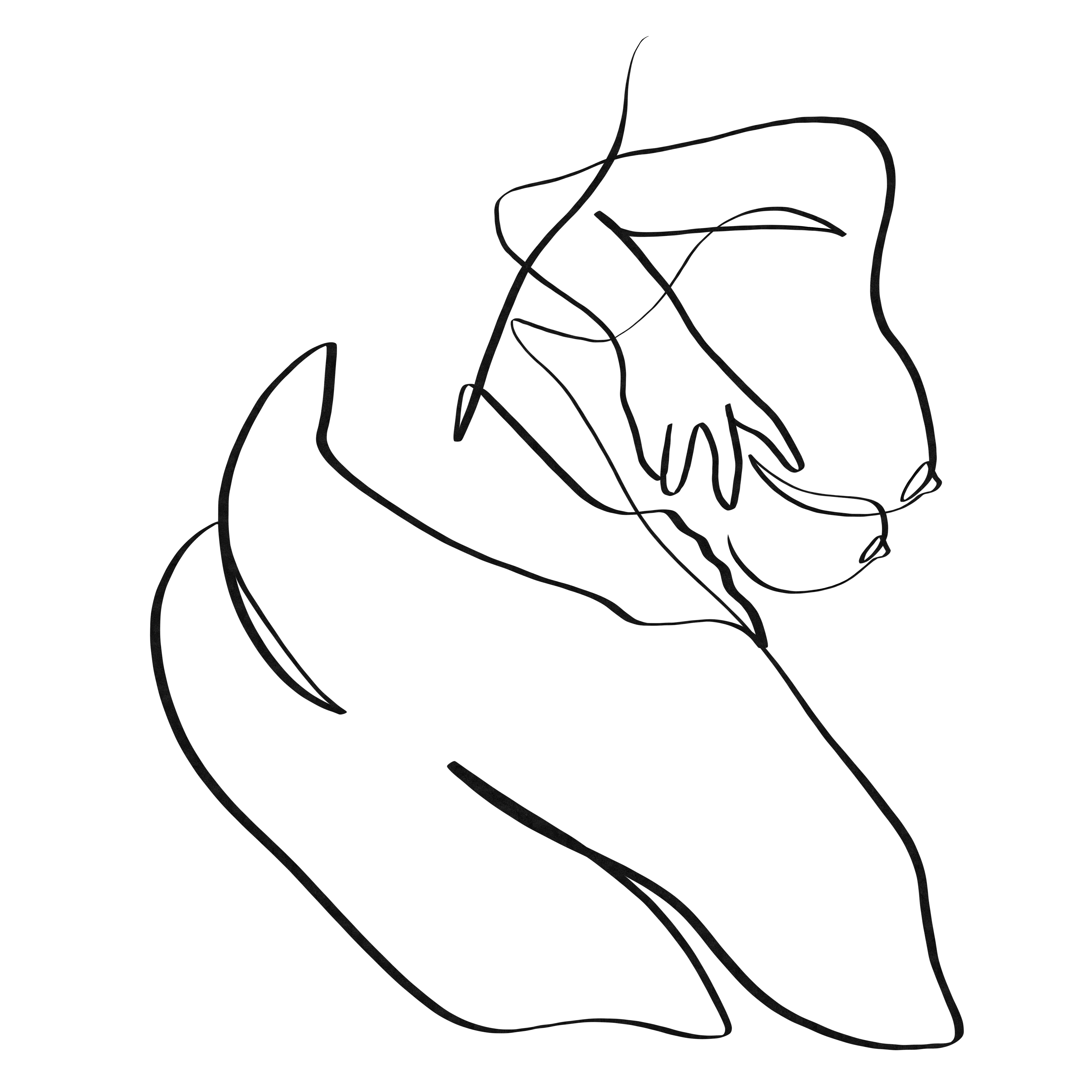 Secret entrance sex position one line art #28 - Erotic Originals | OpenSea