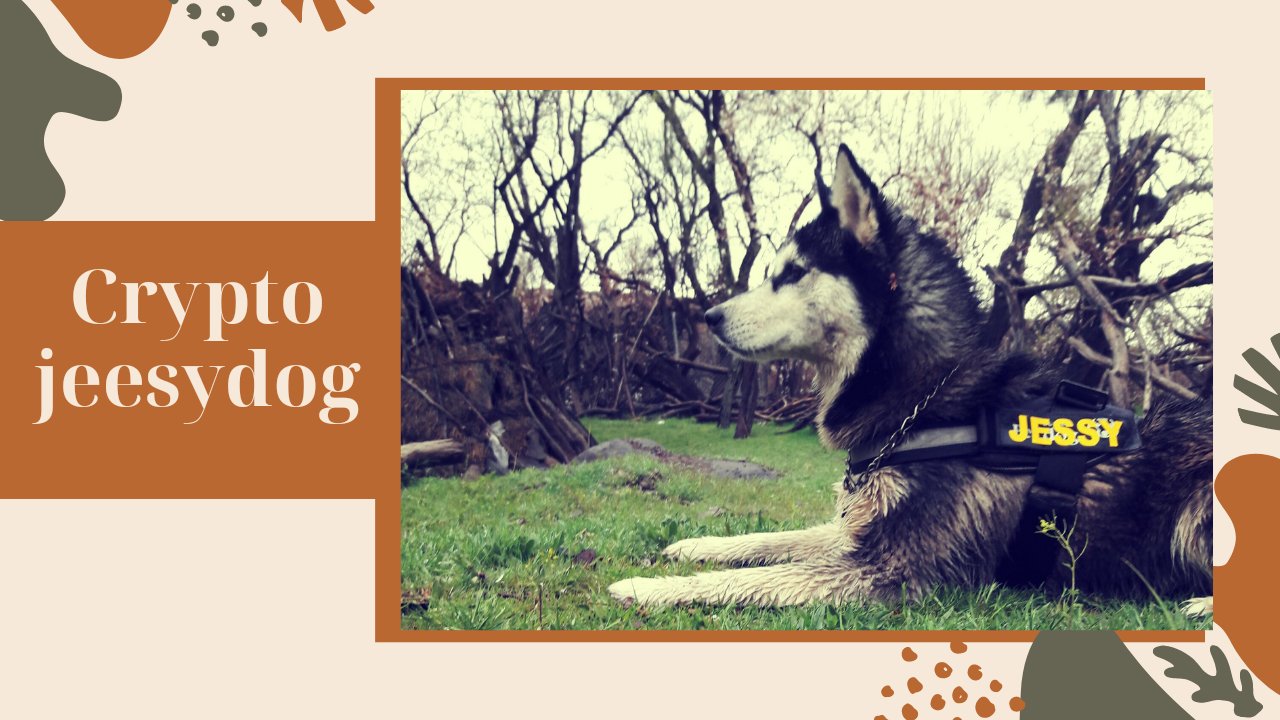 best dog in the world jeesy Collection OpenSea