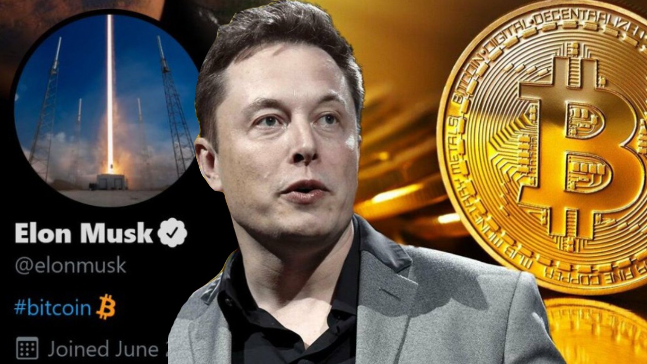 Elon Musk Early Bitcoin Crypto Pioneers OpenSea