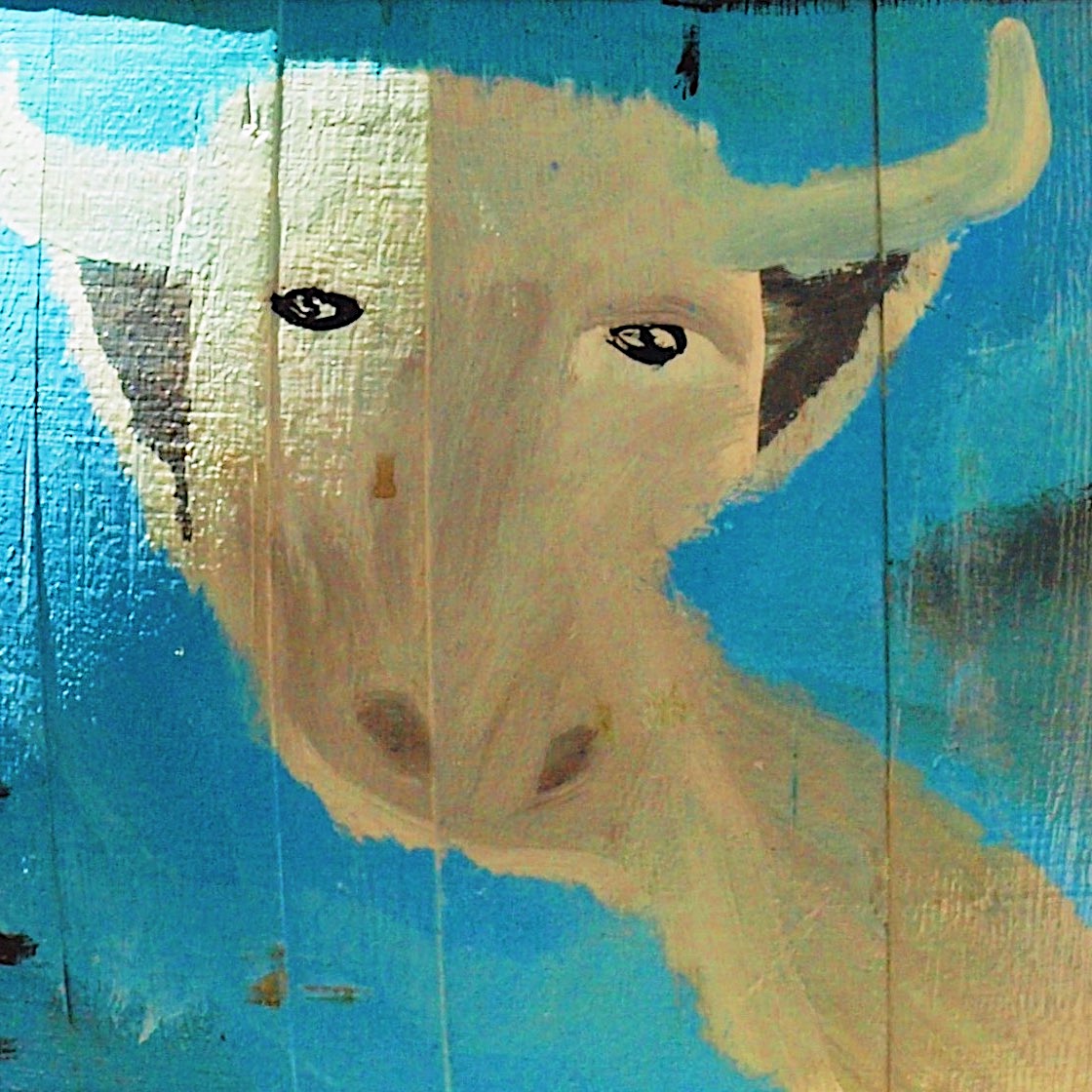 Incredibly Clear Lenses Collection OpenSea