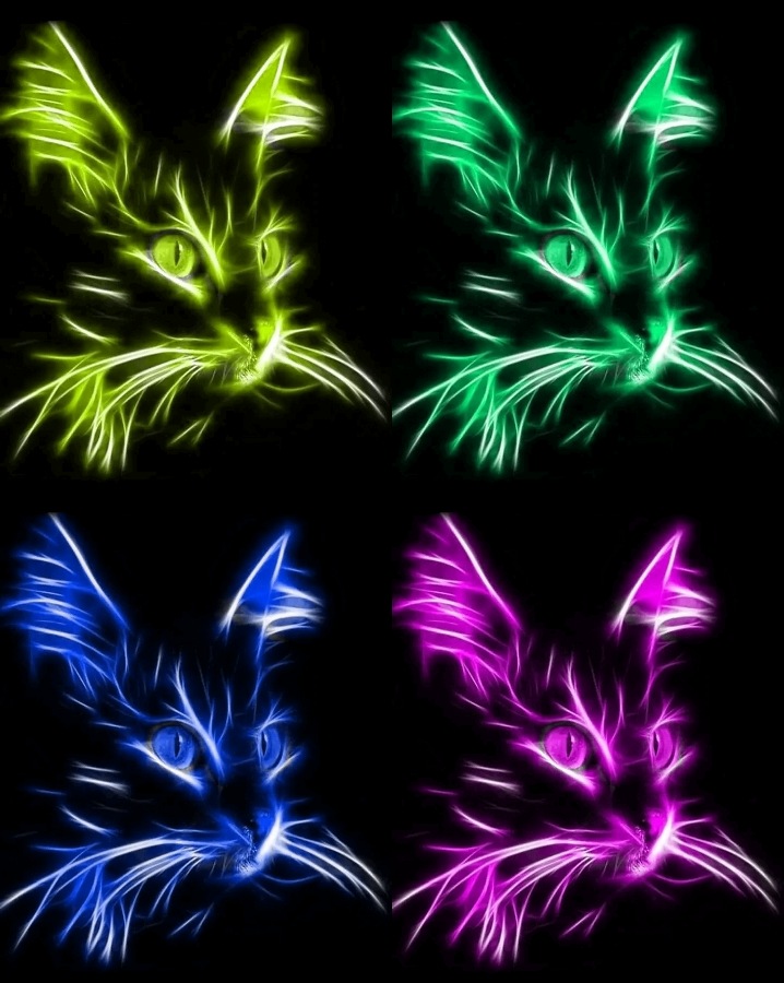Real love for Meow - Collection | OpenSea